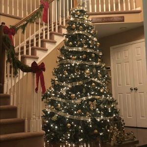 Meet your Posher, Shawn